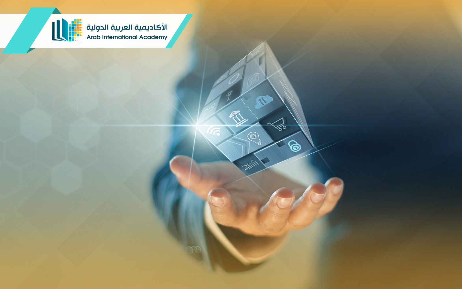 دبلوم إدارة الأعمال