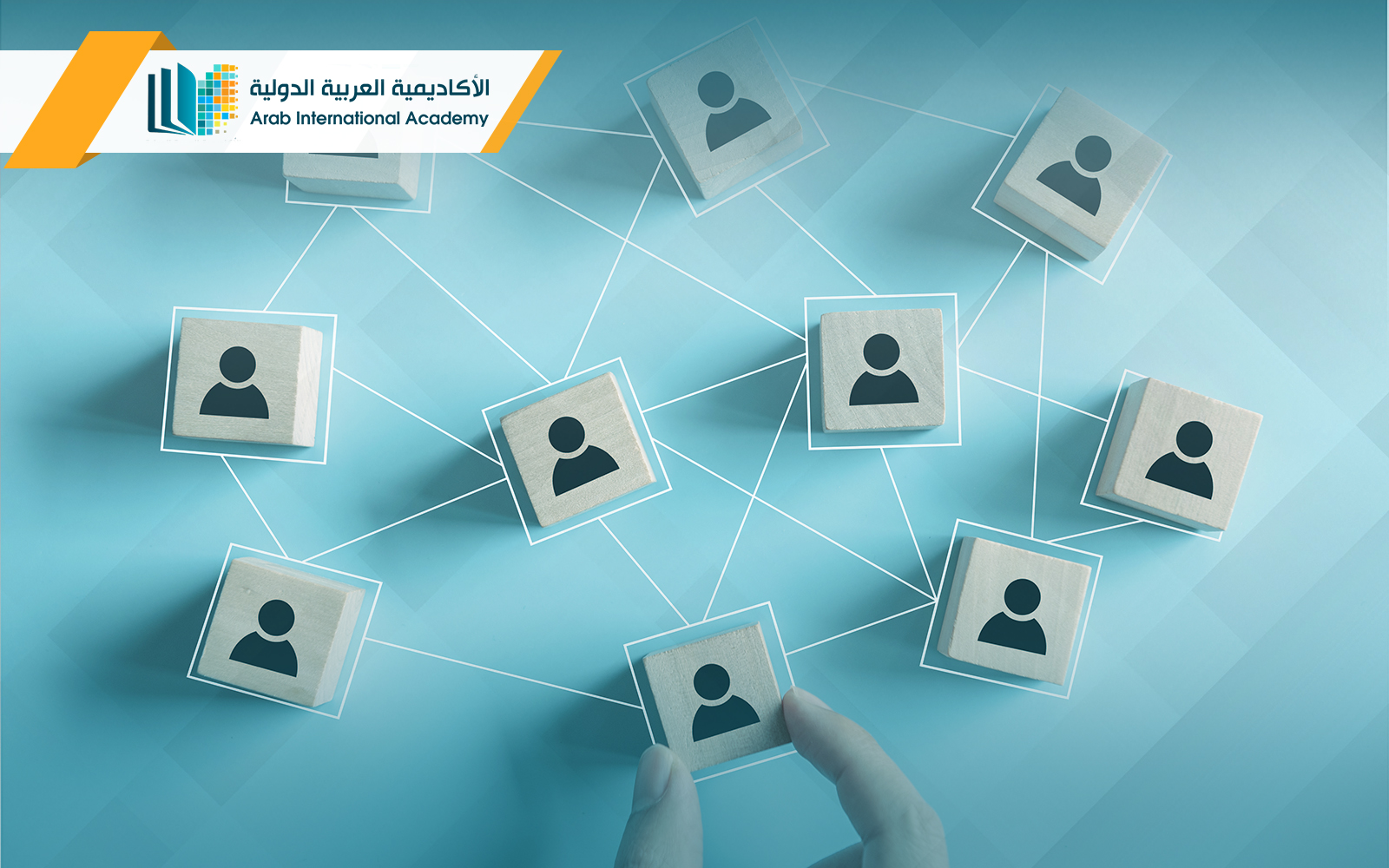 بكالوريوس إدارة الموارد البشرية