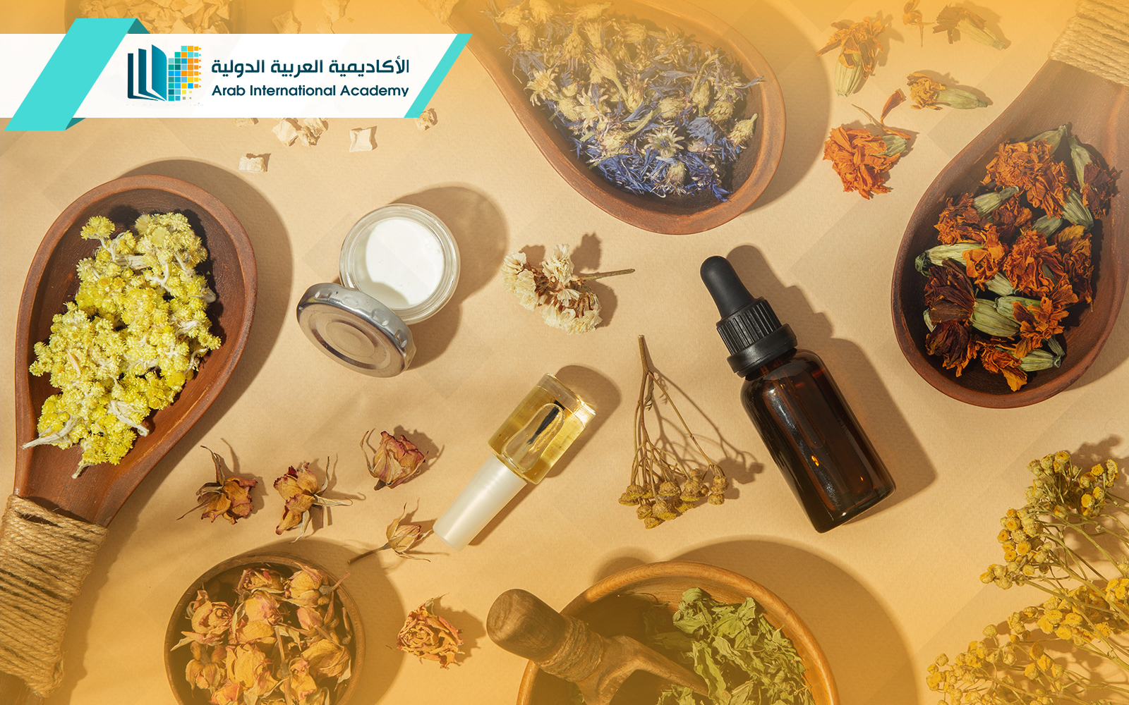 دبلوم طب بديل وتكميلي