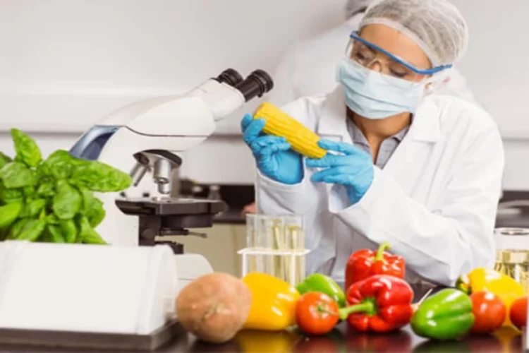 دبلوم سلامة الغذاء