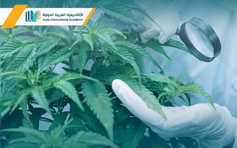 بكالوريوس هندسة زراعية