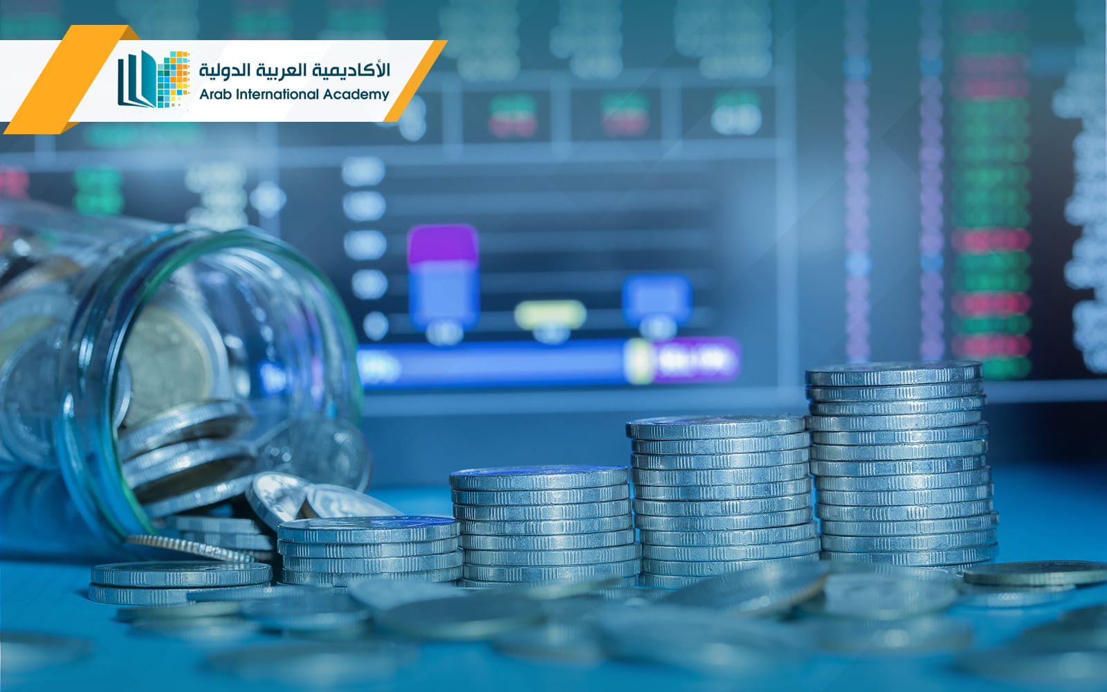 بكالوريوس اقتصاد